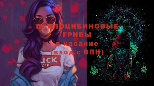 твердый Покачи
