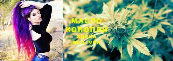 гашик Покровск